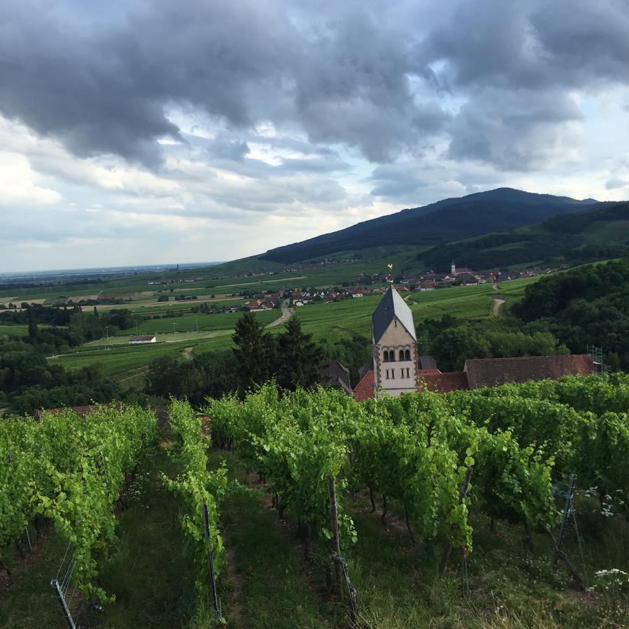 Gite Fleur De Vignes Itterswiller Buitenkant foto
